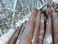  Ду 377, ст.9 цена с НДС с доставкой в Москву